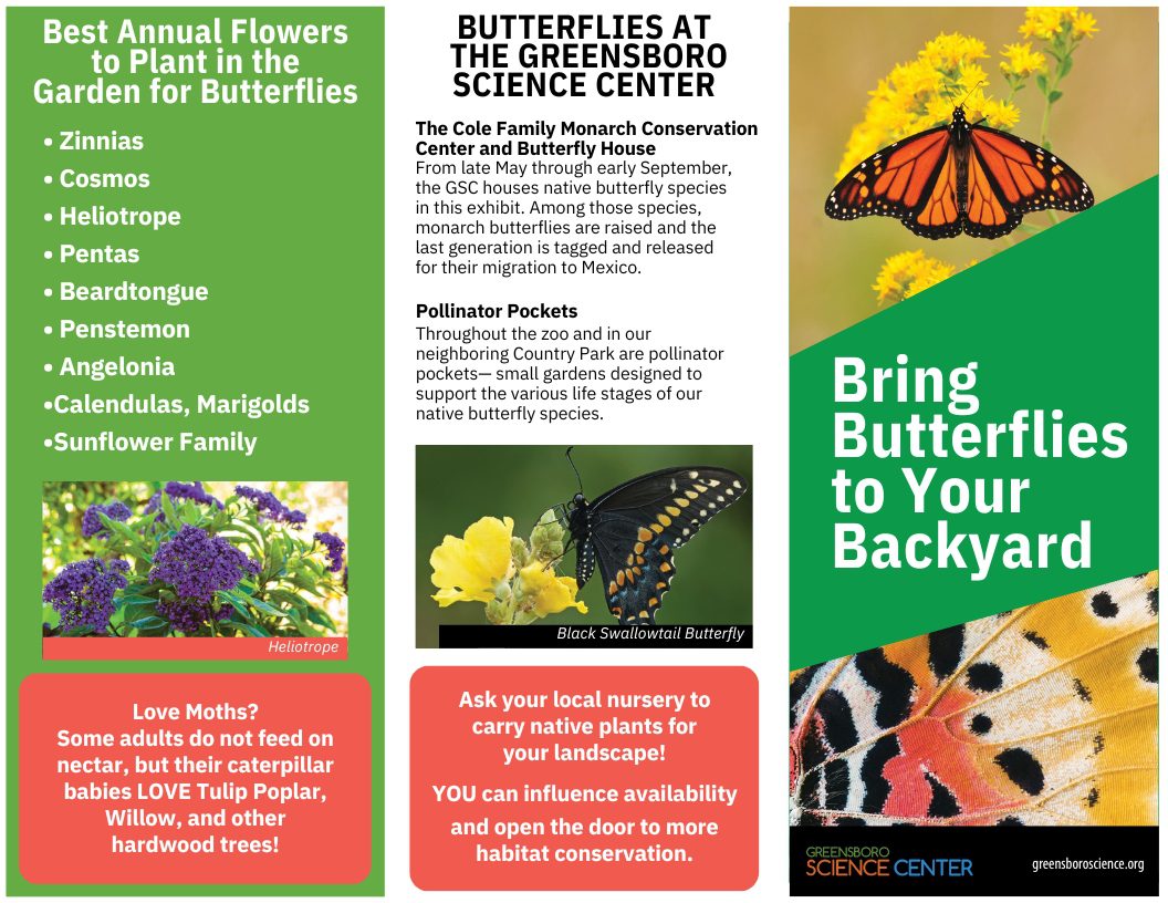 ButterflyBrochure pg1