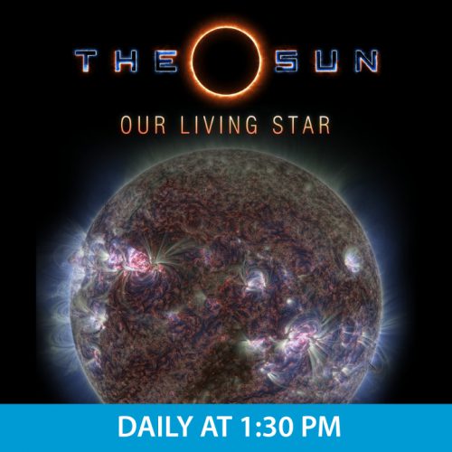 The-Sun-Daily-130